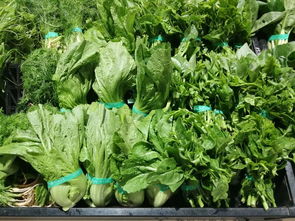 上周云南省生活必需品零售價(jià)格觀察 6漲1平5跌，新鮮蔬菜價(jià)格回落