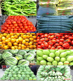 從馬路市場(chǎng)到現(xiàn)代物流園 構(gòu)筑市民餐桌上的食品安全防線